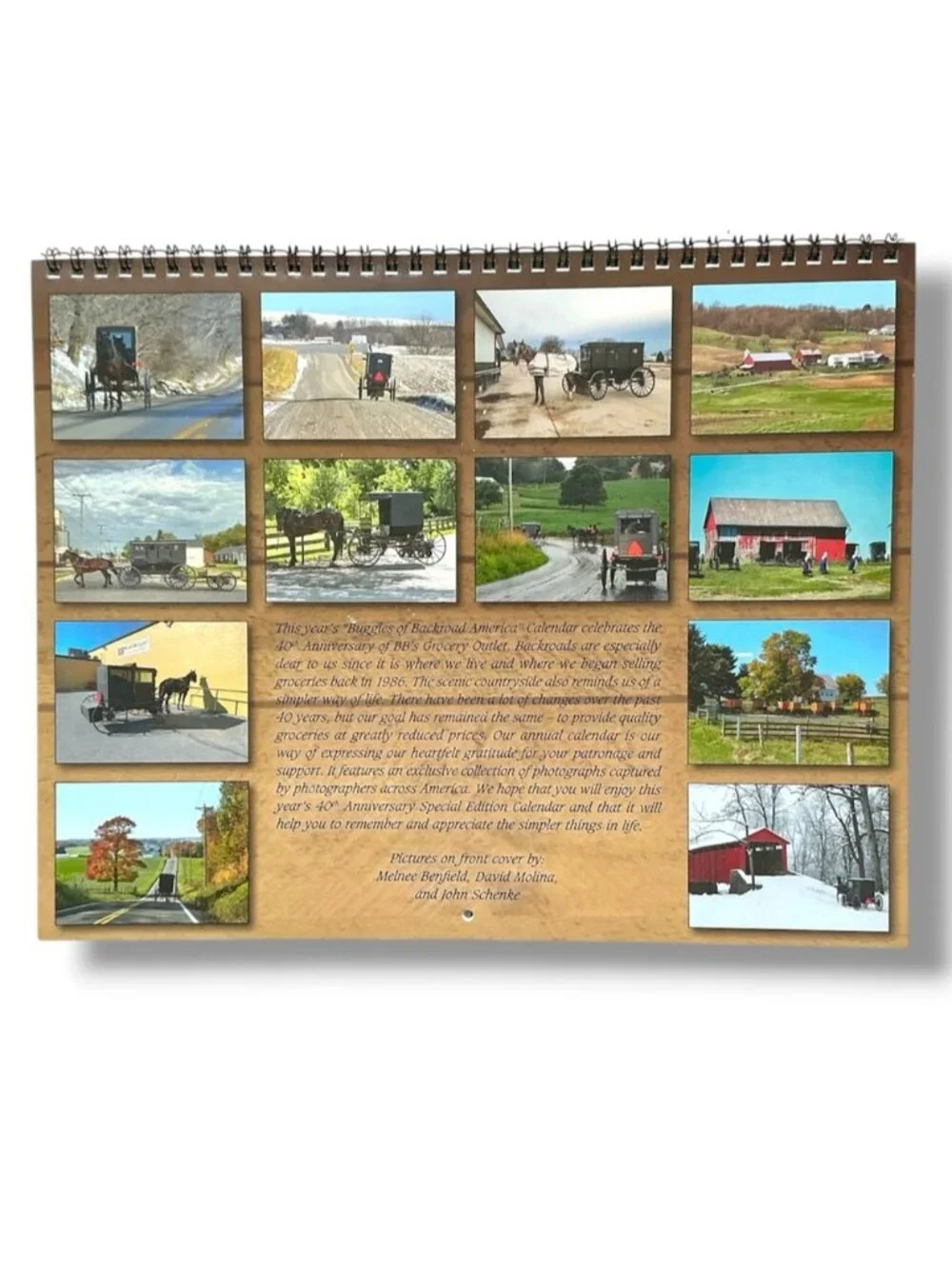 Amish Buggies of Backroad America 2026 Wall Calendar Scenic Pennsylvania NEW